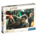 Puzzle 1500, Harry Potter