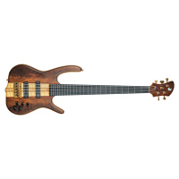 Vlček Basses 2019 BSR Clone 5 Scale-Up Body