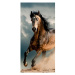 Bavlnená froté osuška HORSE 70x140 cm viacfarebná