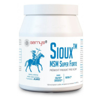 BARNY'S Sioux MSM Super Forte 600 g