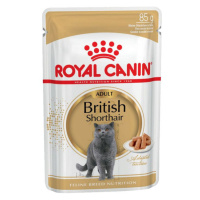 Royal Canin FBN WET BRITISH SHORTHAIR kapsičky pre britské mačky 12 x 85g