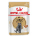 Royal Canin FBN WET BRITISH SHORTHAIR kapsičky pre britské mačky 12 x 85g