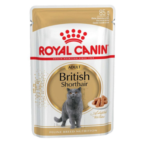 Royal Canin FBN WET BRITISH SHORTHAIR kapsičky pre britské mačky 12 x 85g