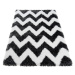 TA Čierno-biely plyšový koberec so vzorom Sabrina Rozmer: 200x300 cm