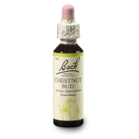 ORIGINAL BACH® Chestnut bud 20 ml