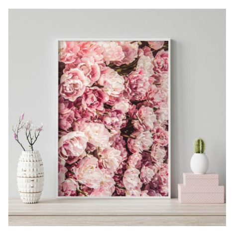 Ružový kvetinový plagát s motívom pivónií