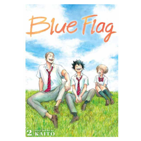 Viz Media Blue Flag 2