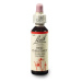 ORIGINAL BACH® Red chestnut 20 ml