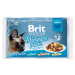Kapsička Brit Premium Cat Delicate Dinner Plate, filety v omáčke Multi 340g (4x85g)