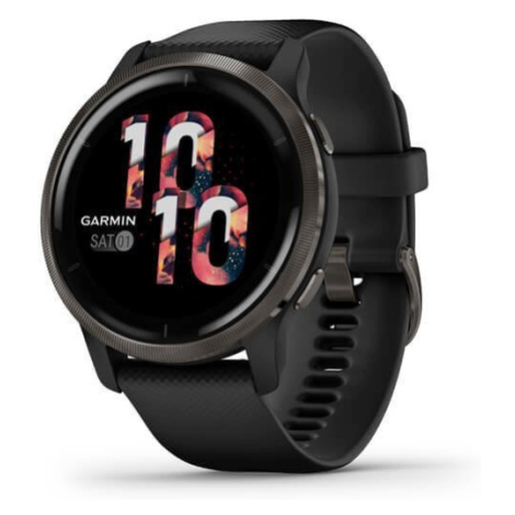 Garmin Venu2 Slate/Black Band