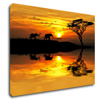 Impresi Obraz Safari západ slunce - 70 x 50 cm