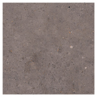 Dlažba Pastorelli Biophilic dark grey 60x60 cm mat P009497
