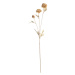 Dekoria Kvet dahlia 70cm, 8 x 8 x 70 cm