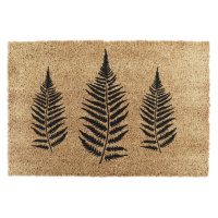 Rohožka z kokosového vlákna 40x60 cm Fern Leaf – Artsy Doormats