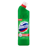 Domestos 24h Pine Fresh 750ml