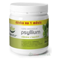 topnatur PSYLLIUM vláknina