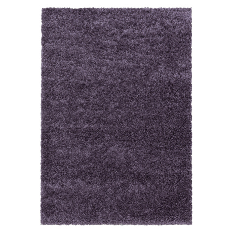 Kusový koberec Sydney Shaggy 3000 violett Rozmery koberca: 300x400 Ayyildiz
