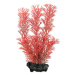 Dekorácia Tetra Rastlina Foxtail Red S 15cm