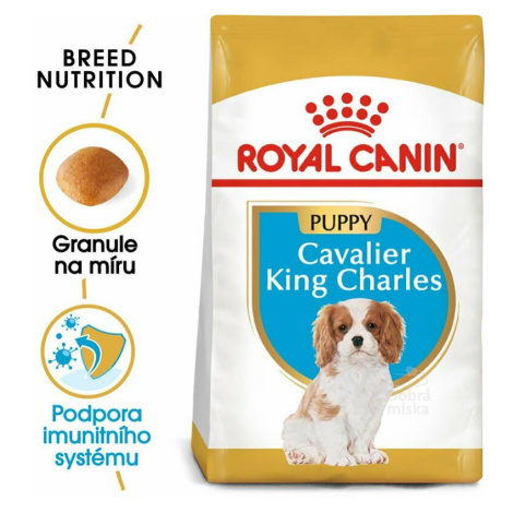 Royal Canin Breed Cavalier King Charles Junior 1,5kg zľava