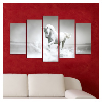 Vícedílný obraz White Horse 110x60 cm