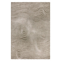 Krémovo-zelený koberec 200x290 cm Mason - Asiatic Carpets