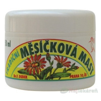 Dr. Dudek nechtíková masť 50 ml