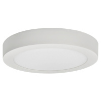 LED120 FENIX-R White 24W WW 1800/3000lm - Přisazené LED svítidlo typu downlight