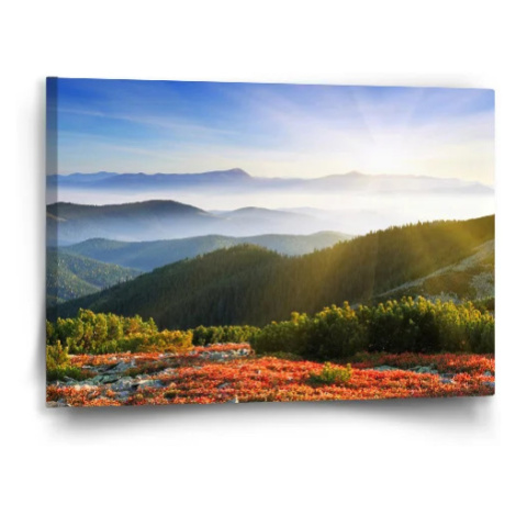 Obraz Príroda - 60x40 cm