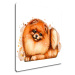 Impresi Obraz Pes Pomeranian - 20 x 20 cm