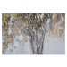 Ručne maľovaný obraz 180x60 cm Super Tree – Mauro Ferretti