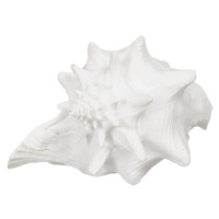 Soška z polyresínu (výška 13 cm) Seashell – Ixia