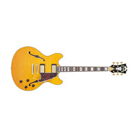 D'Angelico Excel DC Vintage Natural