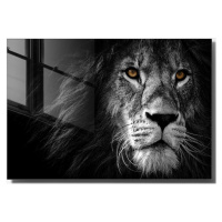 Sklenený obraz 70x50 cm Lion - Wallity