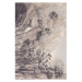 Krémovo-sivý vlnený koberec 200x300 cm Lissey – Agnella