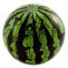 Lopta nenafúknutý melón plast 20 cm v sieťke