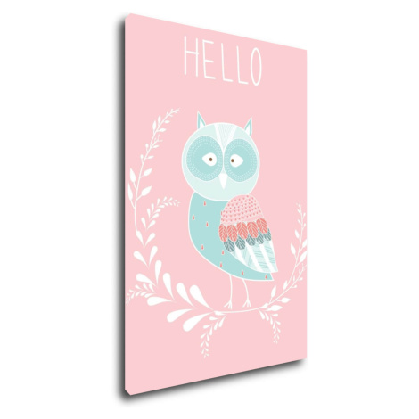 Impresi Obraz Hello owl - 40 x 60 cm