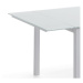 Rozkladací jedálenský stôl so sklenenou doskou 90x90 cm New Daily – Tomasucci