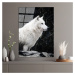 Sklenený obraz 70x100 cm White Wolf - Wallity