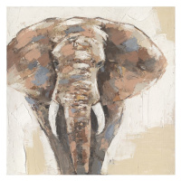 Signes Grimalt  Elephant Obrázok  Obrazy, plátna Šedá