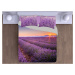 Gipetex Natural Dream 3D talianská obliečka 100% bavlna Lavanda - 220x200 / 2x70x90 cm