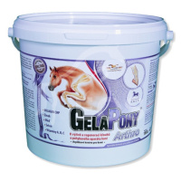 GELAPONY Arthro 1800 g a.u.v.