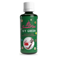 SweetArt airbrush farba tekutá Ivy Green (90 ml) - dortis - dortis