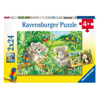 Ravensburger Roztomilé koaly a pandy 2x24 dielikov