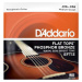 D'Addario EFT13