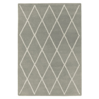 Sivý ručne tkaný vlnený koberec 120x170 cm Albany – Asiatic Carpets