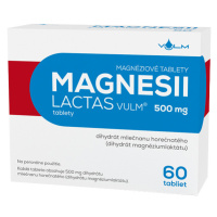 VULM Magnesii lactas vulm 60 tabliet