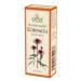 GREŠÍK Echinacea kvapky 50 ml