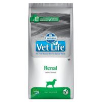 Farmina Vet Life dog renal 12kg