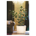 Drevený samozavlažovací kvetináč NATURA, nízky, viac variantov - Hobby Flower Farba: světlý dub,