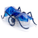 Hexbug Micro Ant modrý